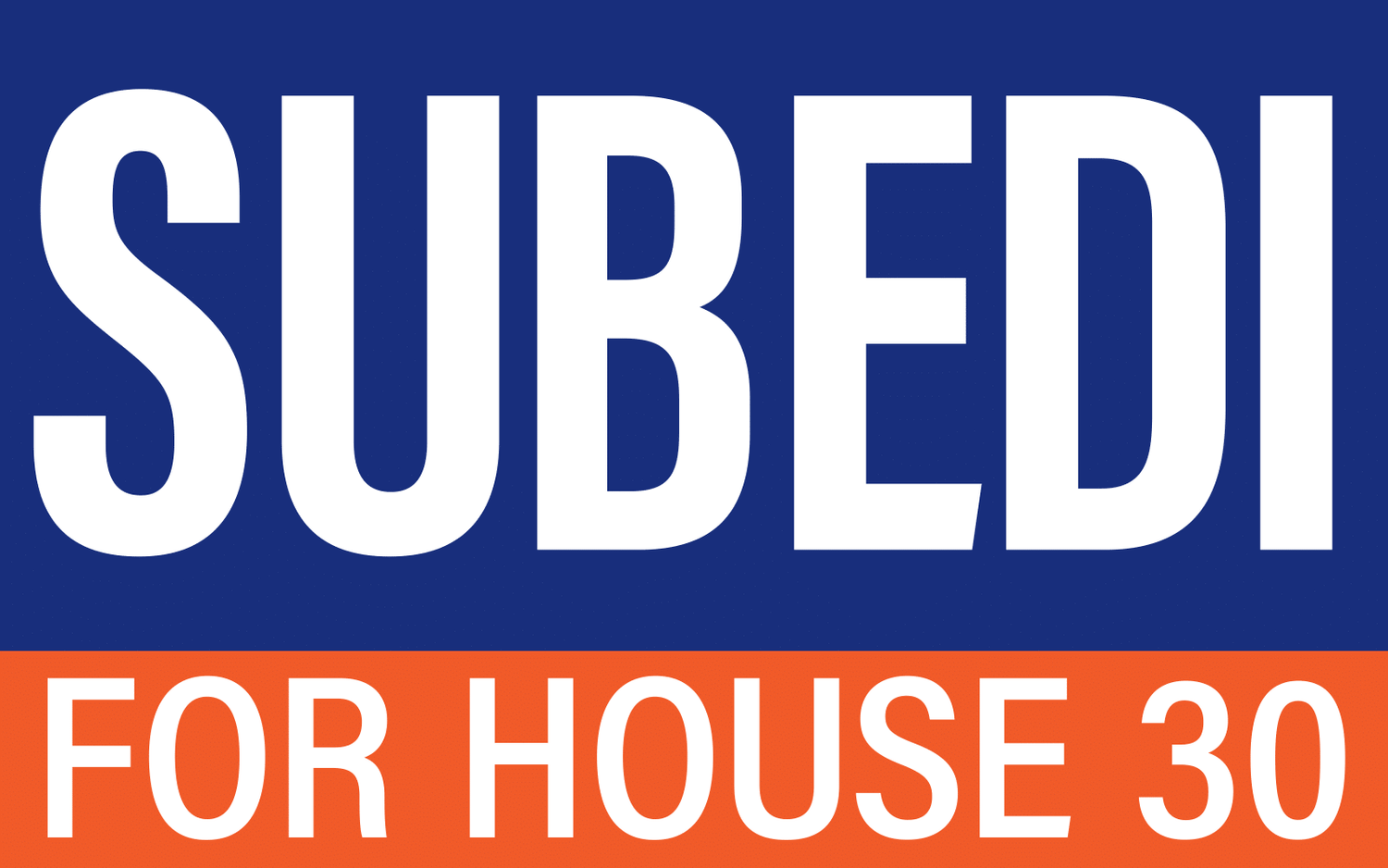 Mitra for House District 30